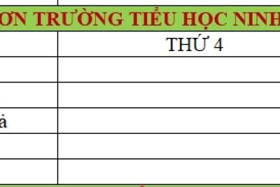 Thực đơn bán trú tuần 3 – Tháng 1 từ ngày 19/1/2026 – 23/1/2026
